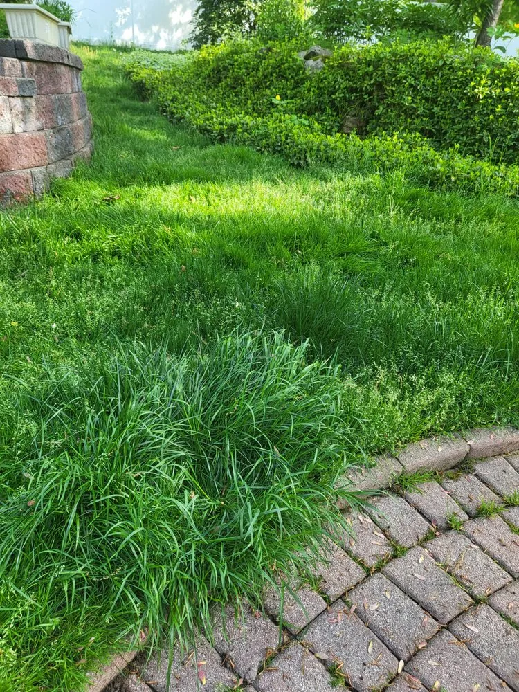 Top-rated landscape installation in Denville, NJ by Lawnx