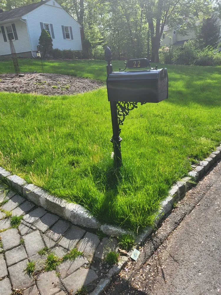 Custom yard cleanup service experts serving Denville, NJ - Lawnx