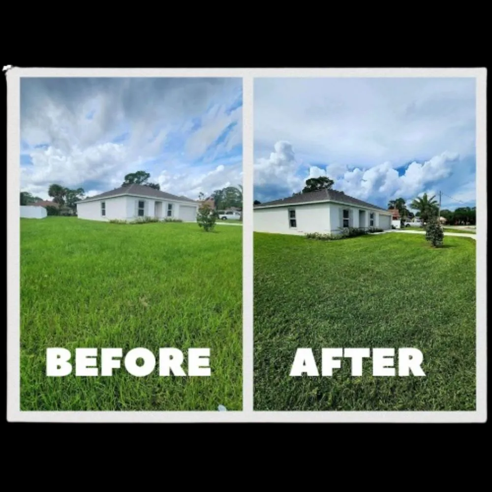 Expert lawn care service in Bunnell, FL by LawnX Lawn Care Services