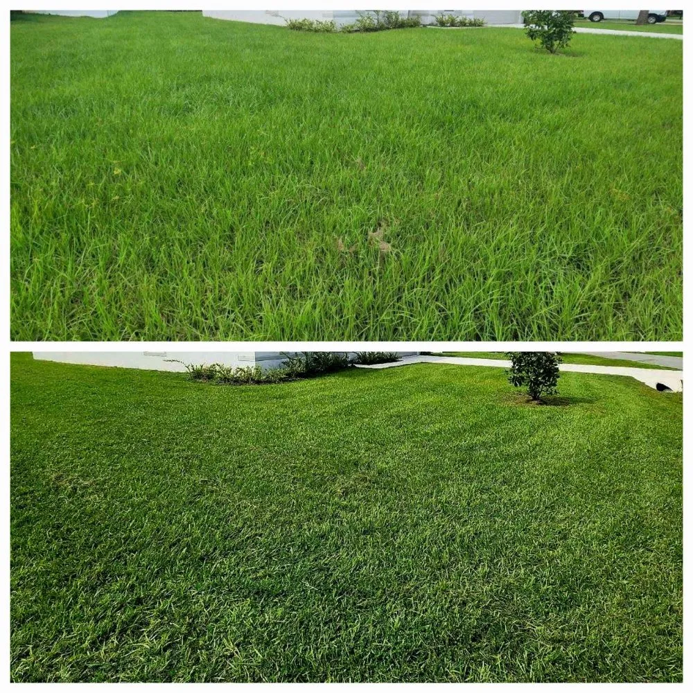 Trusted landscaping services in Bunnell, FL by LawnX Lawn Care Services