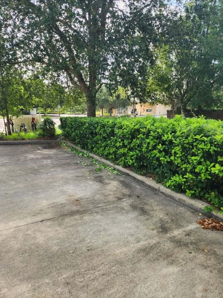 Trusted lawn care service experts serving Bunnell, FL - LawnX Lawn Care Services