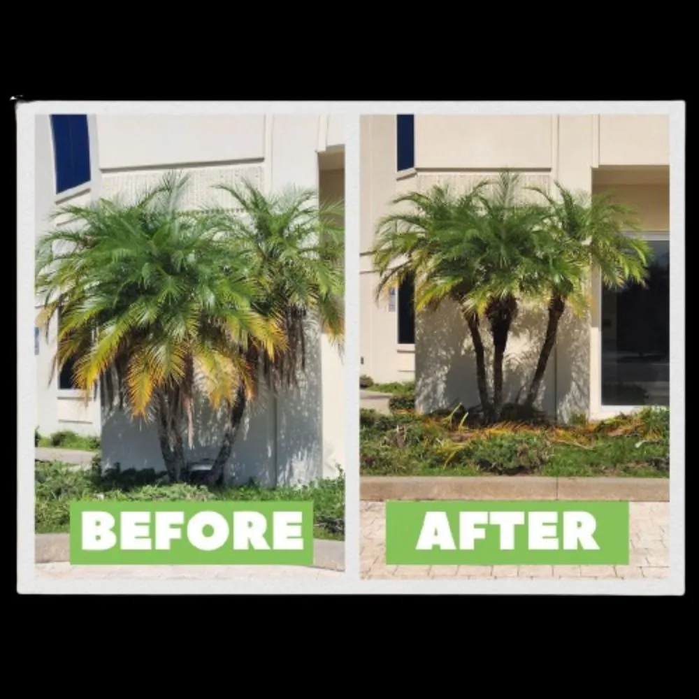 Custom yard cleanup service in Bunnell, FL by LawnX Lawn Care Services