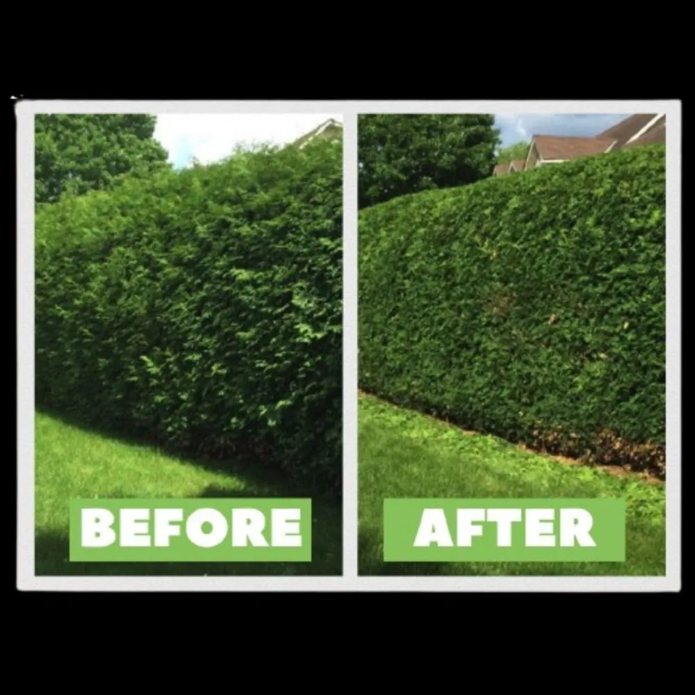 Top-rated landscape installation near you in Bunnell, FL by LawnX Lawn Care Services