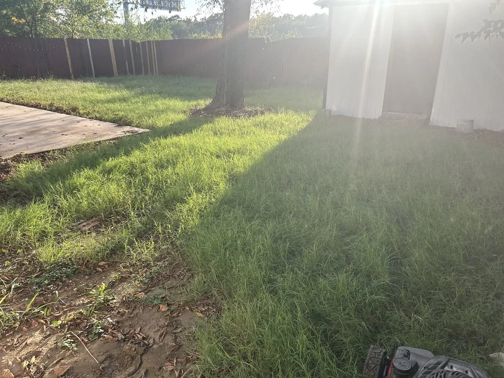 Custom lawn care service in Balch Springs, TX - Lawnzlife
