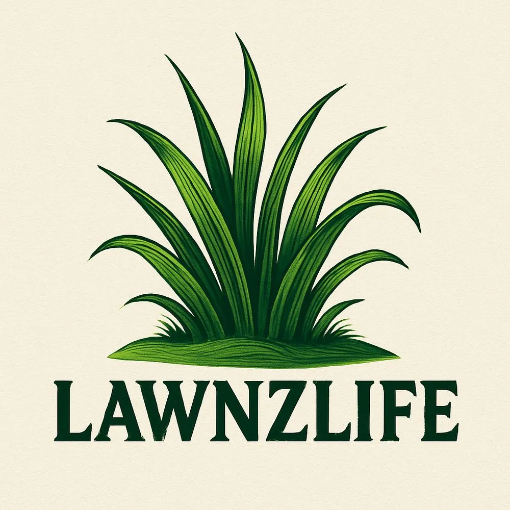 Professional landscape installation with custom design across Balch Springs, TX - Lawnzlife