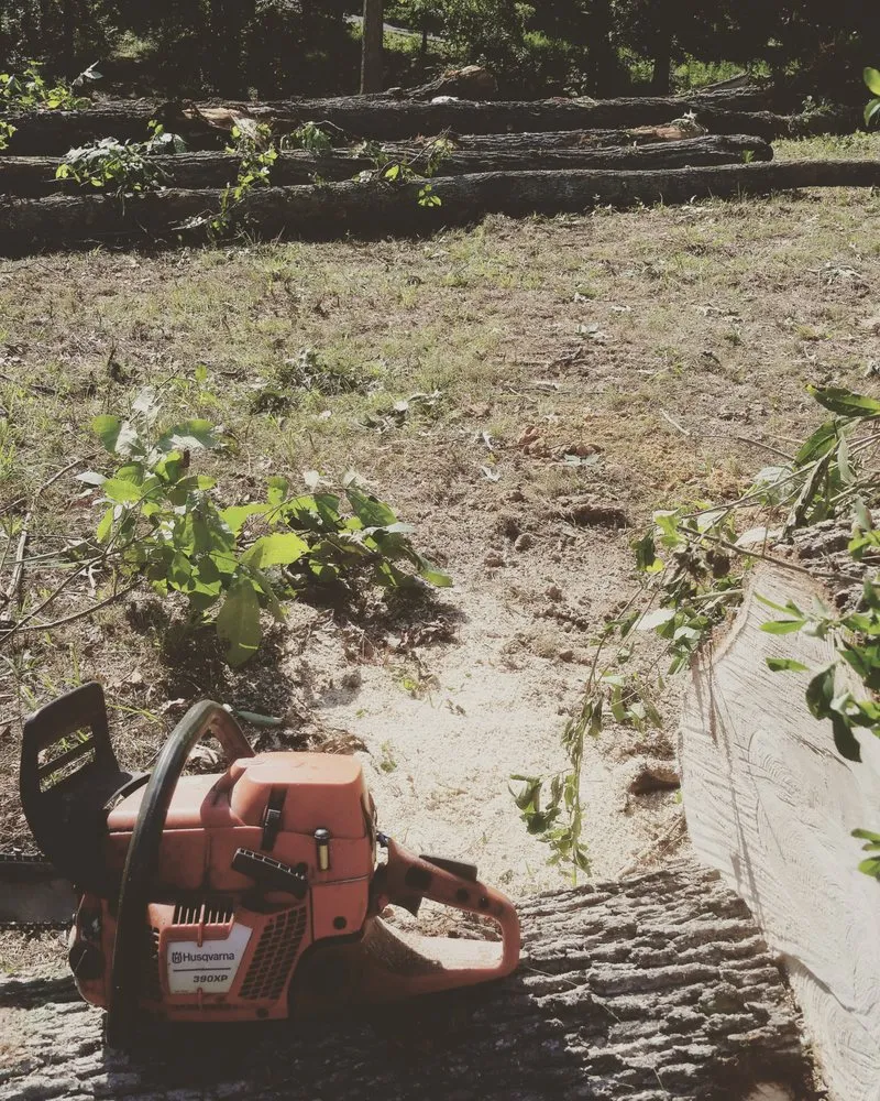 Custom lawn mowing service for residential properties across Powhatan, AR - Lawrence Land Clearing