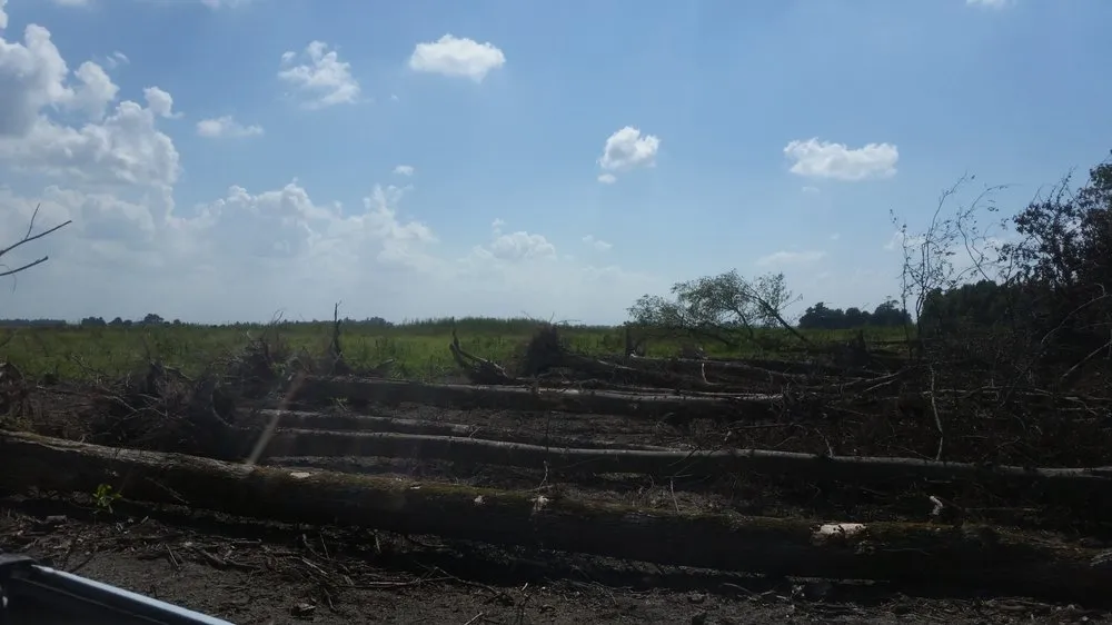 Reliable lawn care service with custom design across Powhatan, AR - Lawrence Land Clearing