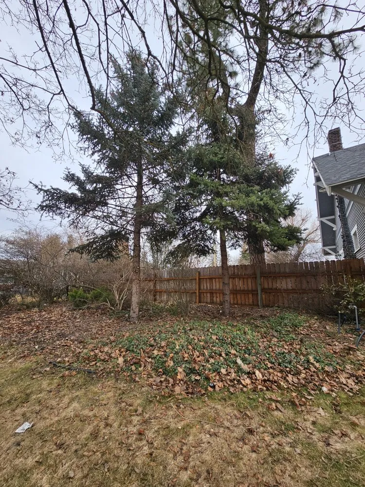 Professional yard cleanup service in Spokane, WA - Lawrence Landscape and Sprinklers