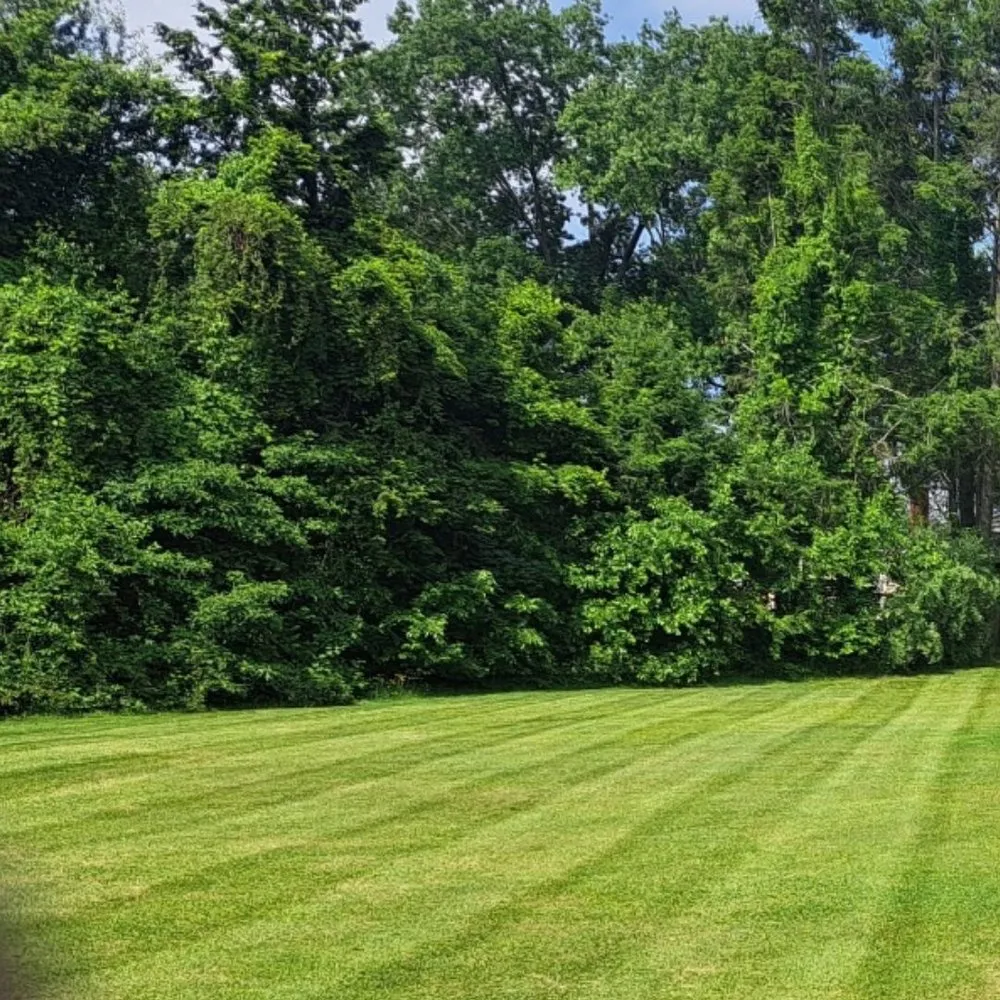 Custom landscape installation in New Britain, CT by Lawrence Landscape and Stone