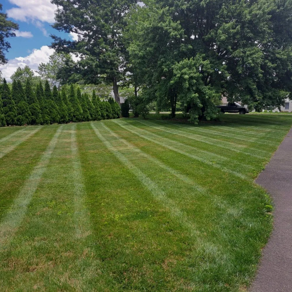 Expert yard maintenance for beautiful yards in New Britain, CT by Lawrence Landscape and Stone
