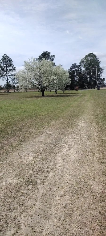 Reliable yard maintenance in Centerville, GA - Lawrence Landscape