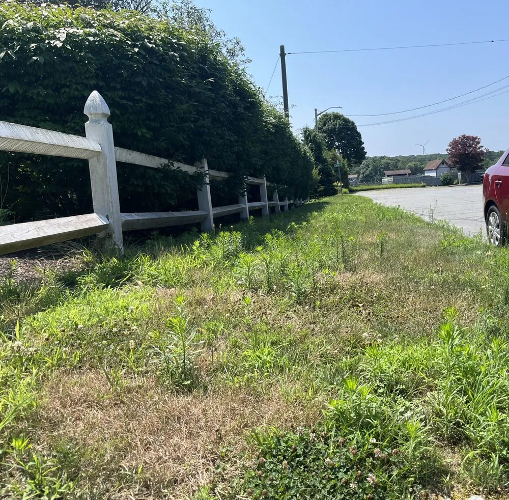 Reliable yard cleanup service in Plymouth, MA by Lawrence Landscaping and Son