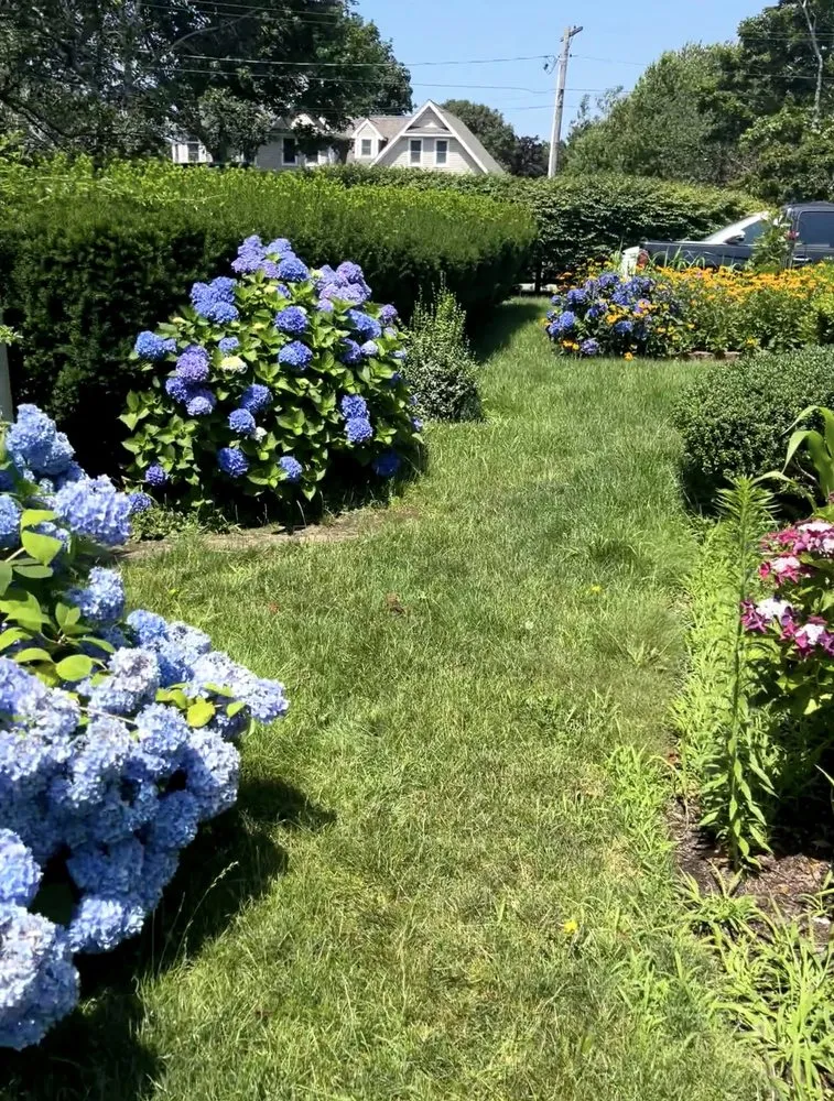 Affordable landscape design in Plymouth, MA by Lawrence Landscaping and Son