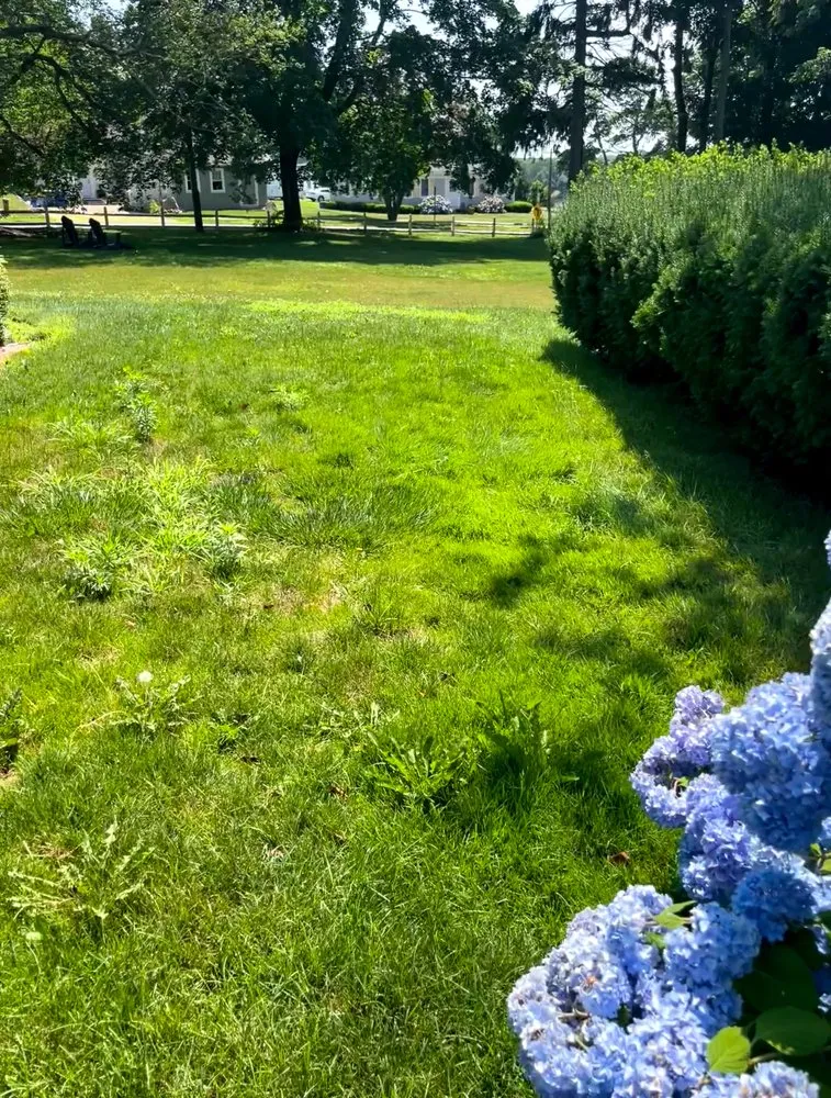 Reliable yard cleanup service near you across Plymouth, MA - Lawrence Landscaping and Son