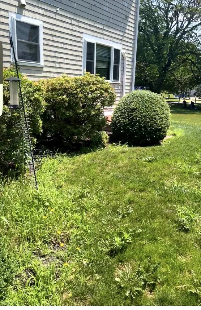 Local landscape installation in Plymouth, MA - Lawrence Landscaping and Son