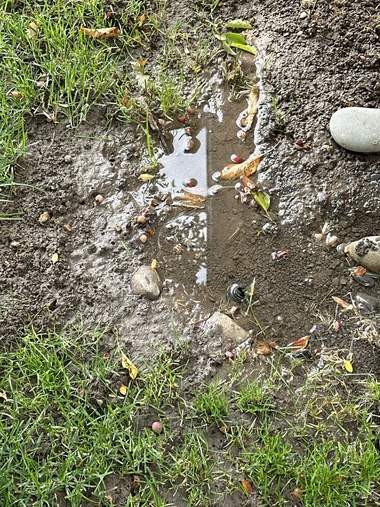 Custom landscape installation in Idaho Falls, ID - Lawrence Landscaping