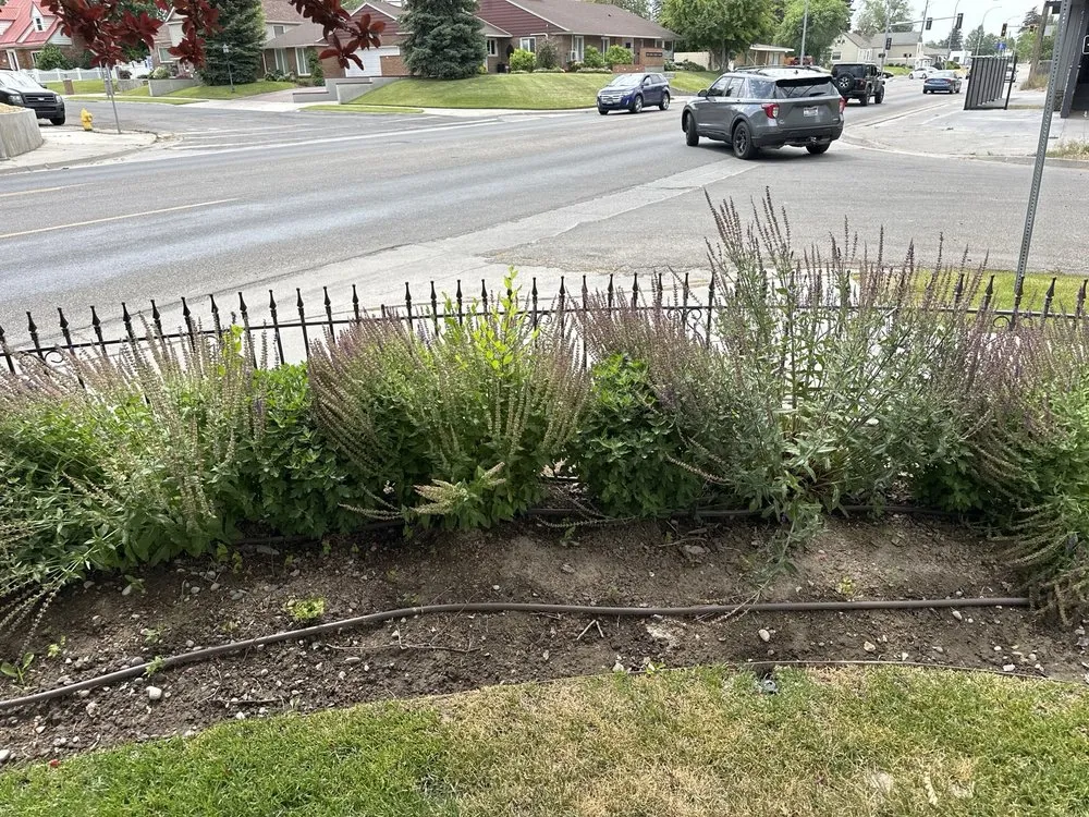 Affordable landscape installation for homes in Idaho Falls, ID by Lawrence Landscaping
