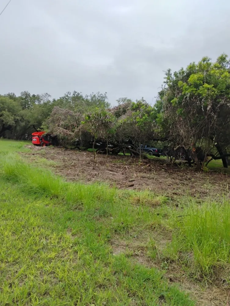 Reliable lawn care service in Rockport, TX by Lawrence Landscaping Lawn Service & More