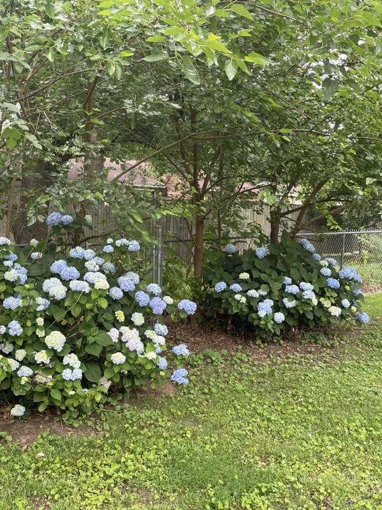 Professional garden landscaping in Sikeston, MO - Lawrence Landscaping