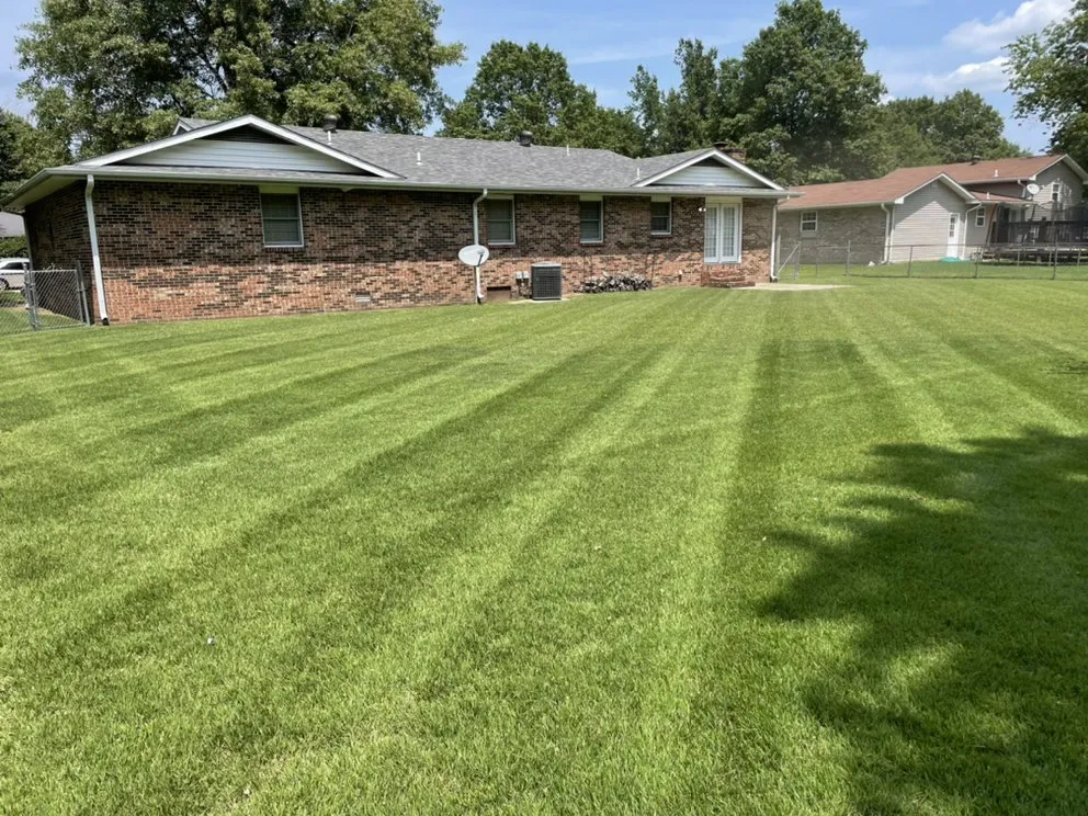 Affordable yard cleanup service experts serving Sikeston, MO - Lawrence Landscaping