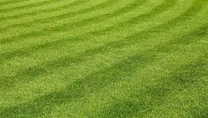 Top-rated lawn mowing service experts serving Yulee, FL - Lawrence Landscaping