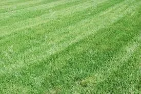 Professional yard maintenance in Yulee, FL - Lawrence Landscaping