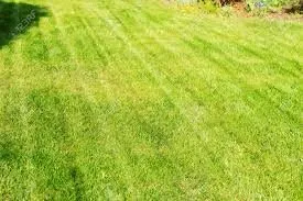 Affordable yard maintenance for homes across Yulee, FL - Lawrence Landscaping