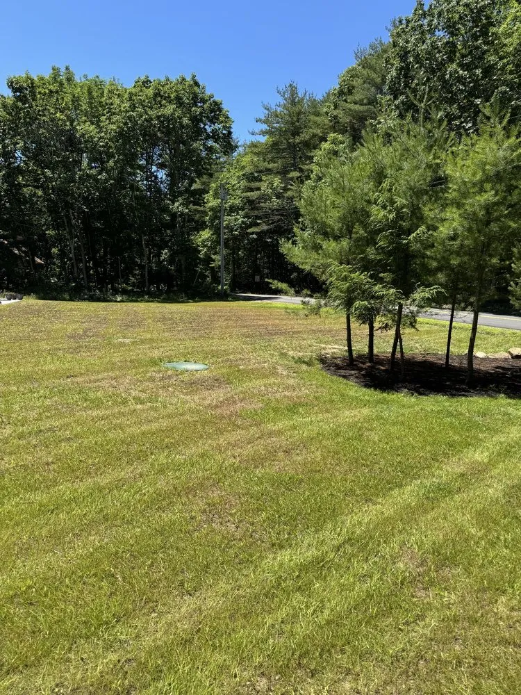 Professional yard cleanup service for beautiful yards in Shapleigh, ME by Lawrence Lawn and Land