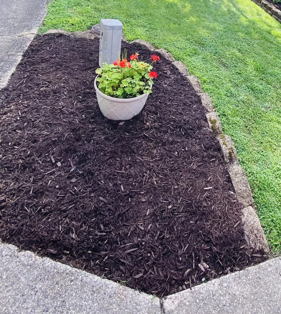 Custom yard maintenance near you in Elkview, WV by Lawrence Lawn Care