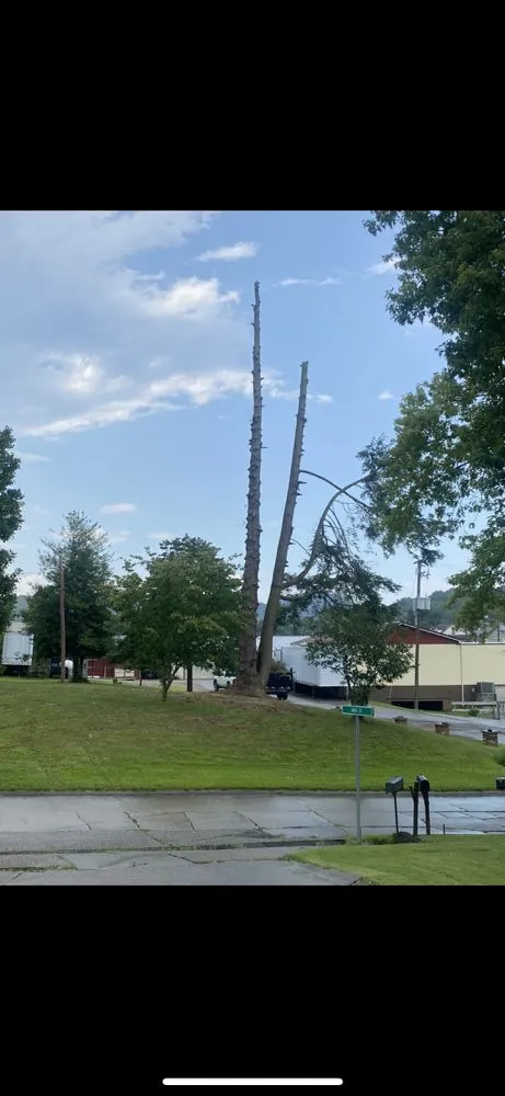 Professional residential landscaping for outdoor upgrades in Elkview, WV by Lawrence Lawn Care