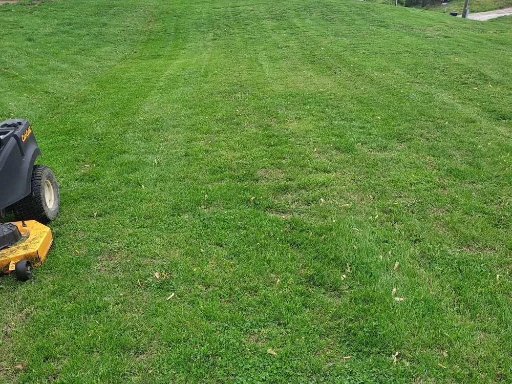 Local yard cleanup service near you in Trenton, MO by Lawrence LawnCare And Landscaping