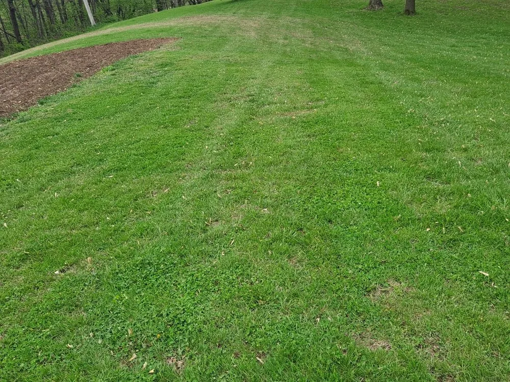 Expert yard maintenance experts serving Trenton, MO - Lawrence LawnCare And Landscaping