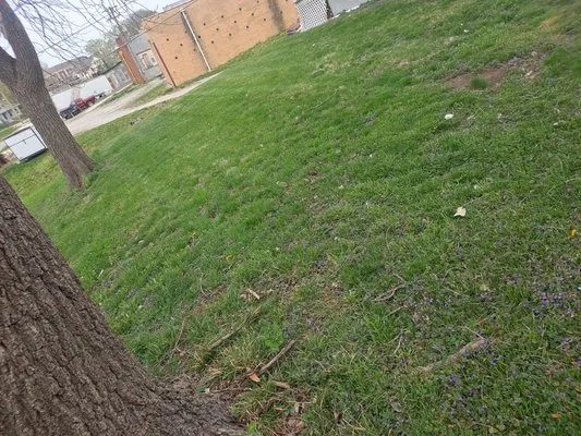 Lawrence LawnCare And Landscaping