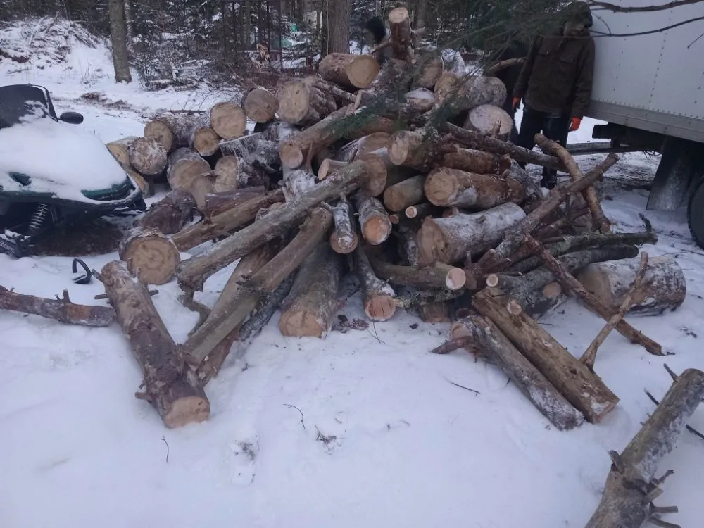 Expert landscaping services for beautiful yards in Keene, NH by Lawrences Outside Work