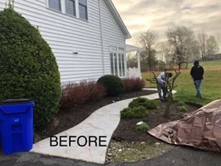Expert lawn care service for outdoor upgrades in Ellicott City, MD by Laws Of Landscaping