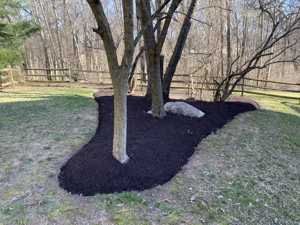 Professional garden landscaping for homes across Ellicott City, MD - Laws Of Landscaping