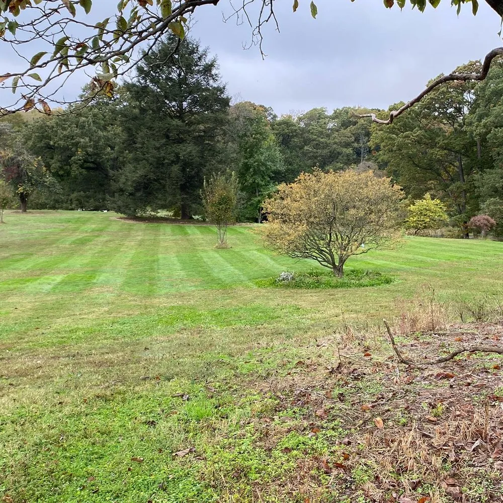 Top-rated landscaping services for year-round maintenance across Ellicott City, MD - Laws Of Landscaping