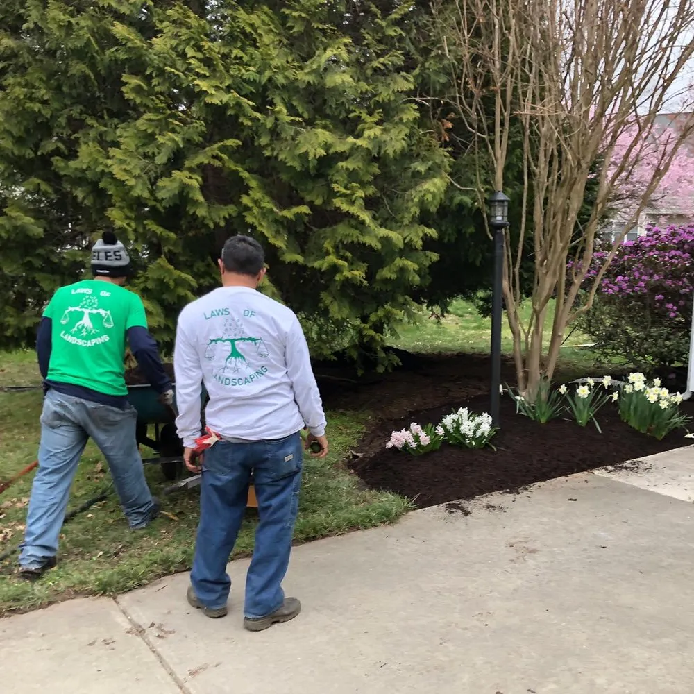 Expert lawn care service in Ellicott City, MD - Laws Of Landscaping