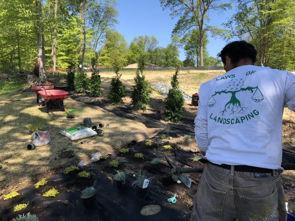 Trusted lawn care service experts serving Ellicott City, MD - Laws Of Landscaping