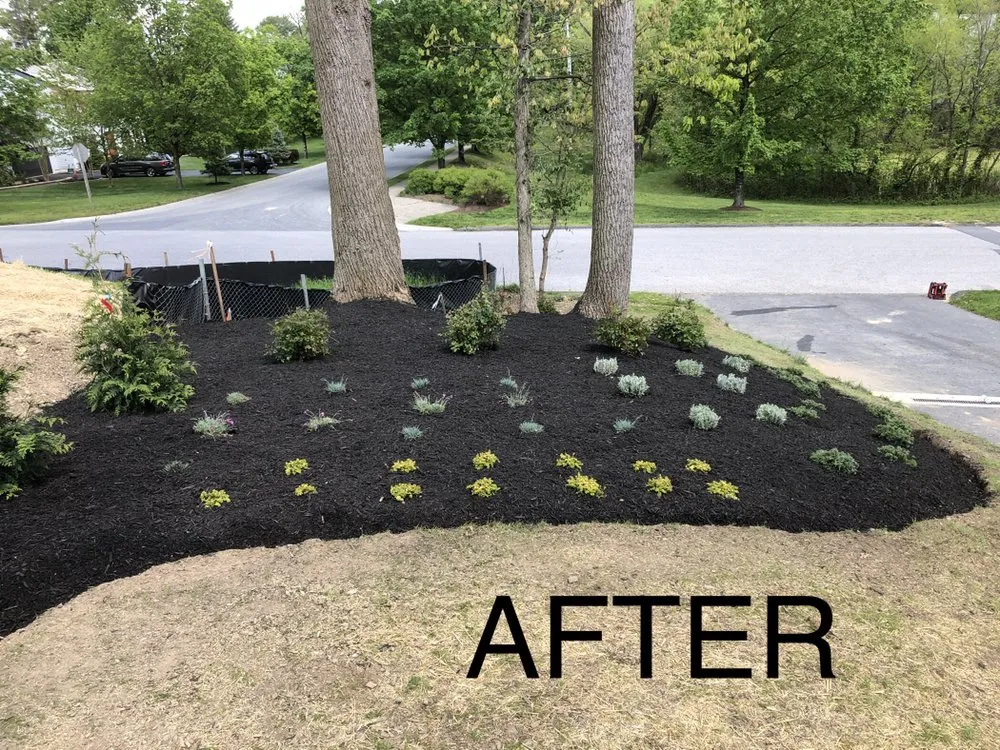 Top-rated landscaping services in Ellicott City, MD - Laws Of Landscaping
