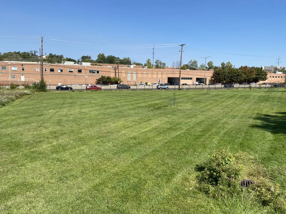 Trusted residential landscaping in Ellicott City, MD by Laws Of Landscaping