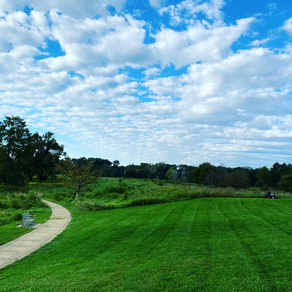 Reliable yard maintenance in Ellicott City, MD by Laws Of Landscaping