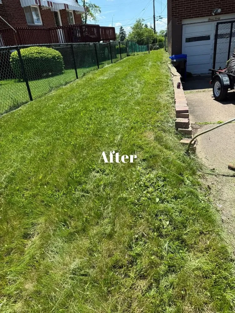 Professional landscaping services for year-round maintenance in Donora, PA by Laws Tree and Lawn Care Services
