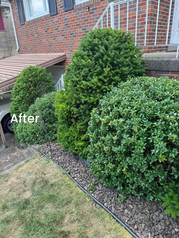 Trusted yard cleanup service for residential properties across Donora, PA - Laws Tree and Lawn Care Services