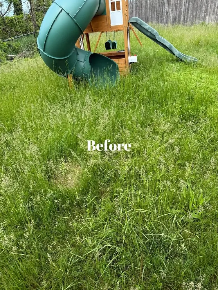 Expert yard maintenance for homes in Donora, PA by Laws Tree and Lawn Care Services