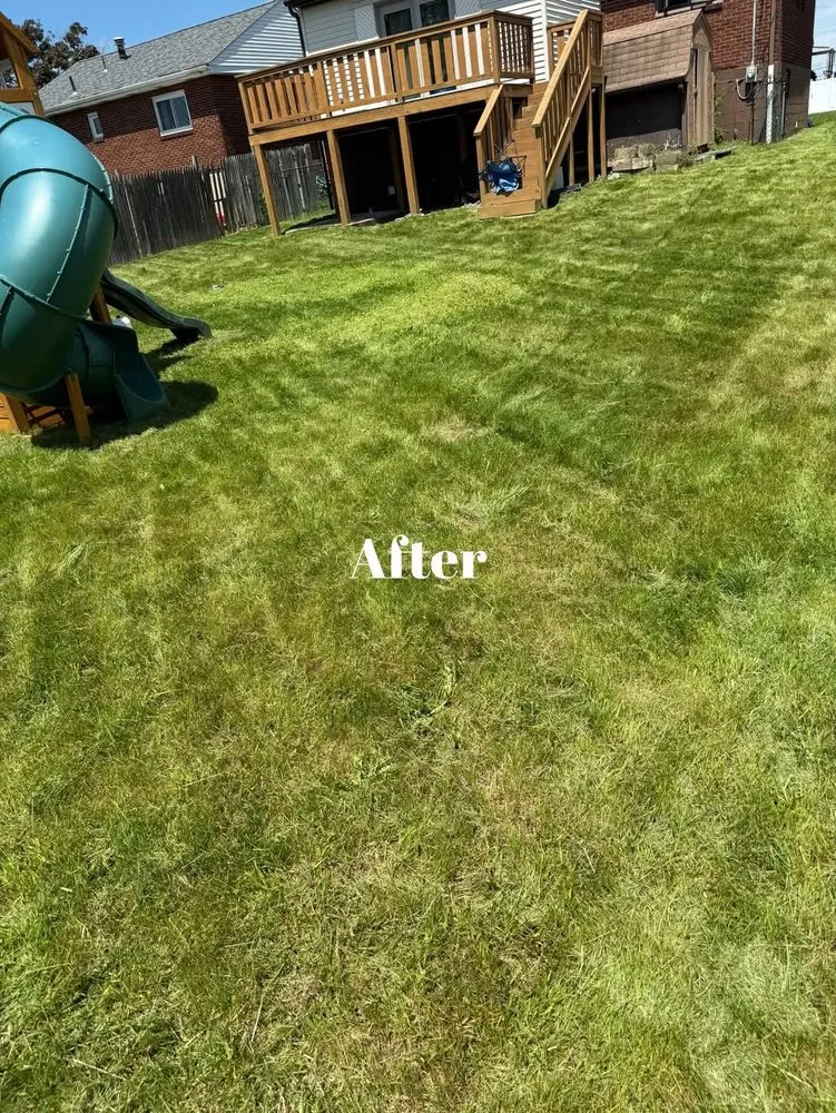 Top-rated landscape design experts serving Donora, PA - Laws Tree and Lawn Care Services