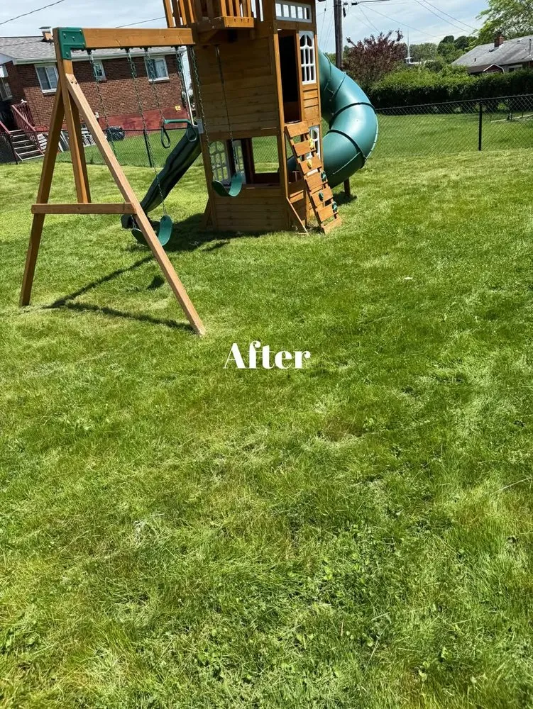 Affordable landscape installation experts serving Donora, PA - Laws Tree and Lawn Care Services