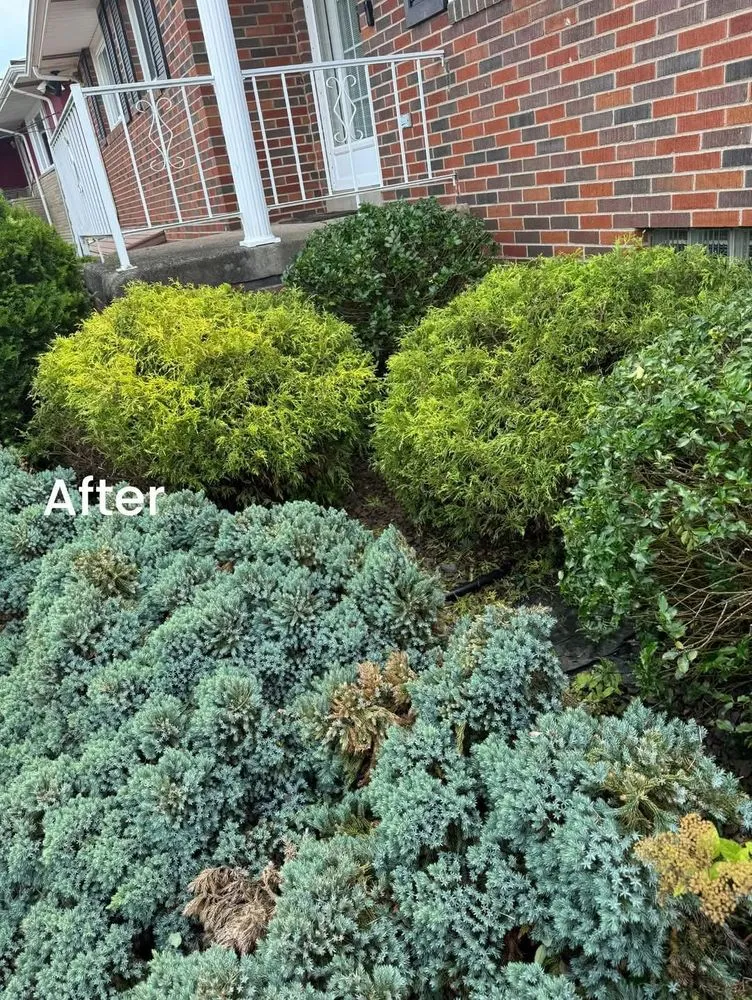 Affordable landscaping services in Donora, PA - Laws Tree and Lawn Care Services