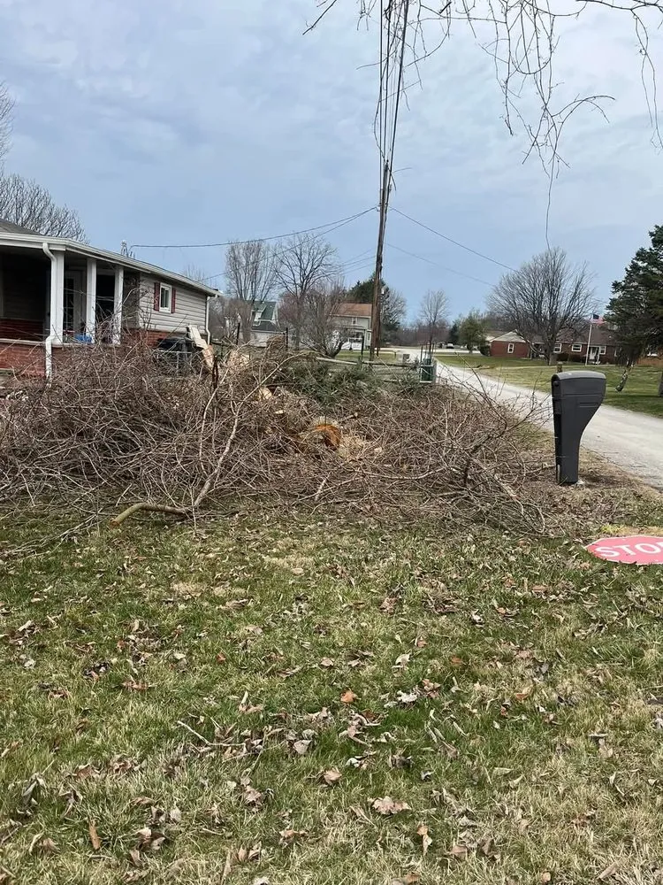 Professional yard cleanup service in Donora, PA - Laws Tree and Lawn Care Services