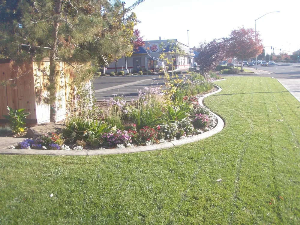 Trusted lawn care service experts serving Visalia, CA - Lawscapes Curbing